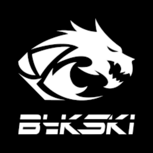  Bykski